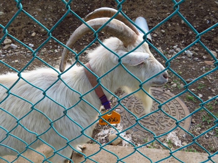 f:id:jerich:20180620231526j:plain