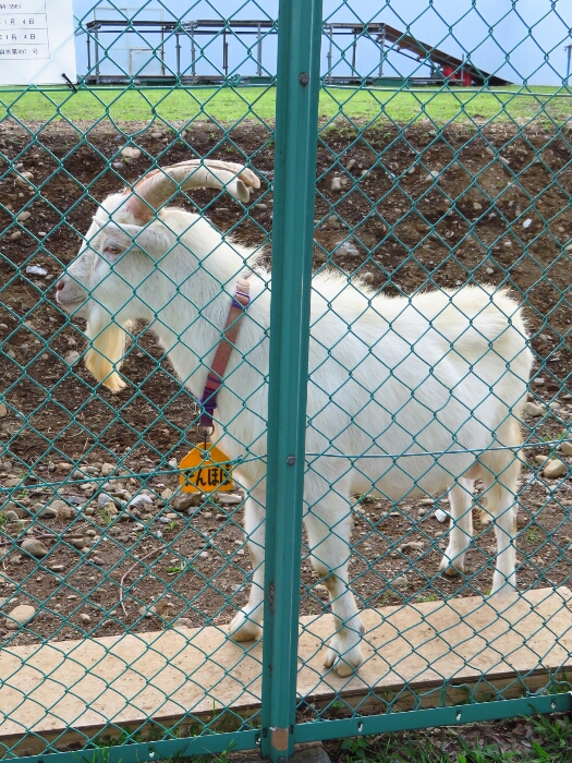 f:id:jerich:20180620233224j:plain