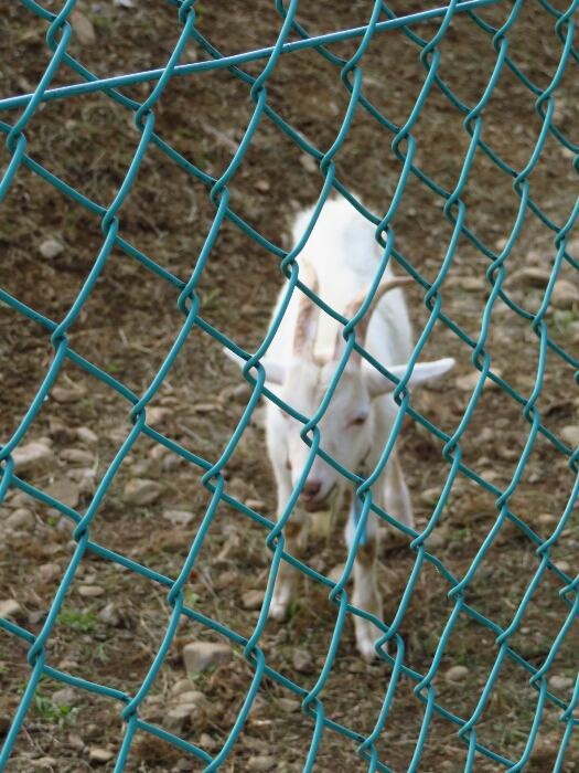 f:id:jerich:20180620233234j:plain