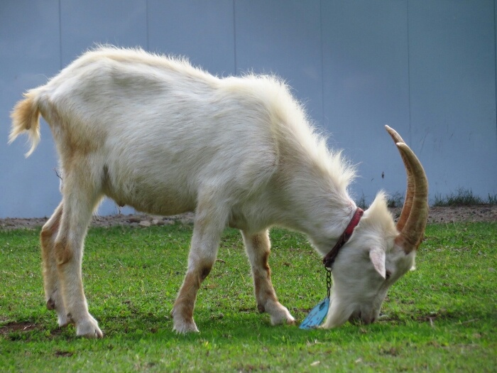 f:id:jerich:20180620233237j:plain