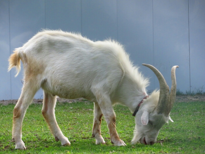 f:id:jerich:20180620234227j:plain