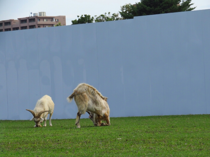 f:id:jerich:20180620234403j:plain