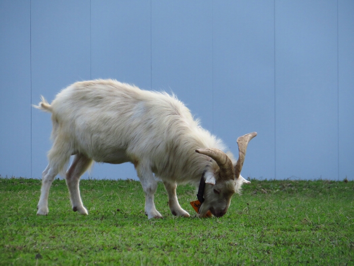 f:id:jerich:20180620235443j:plain