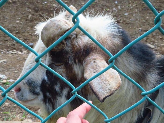 f:id:jerich:20180621002406j:plain