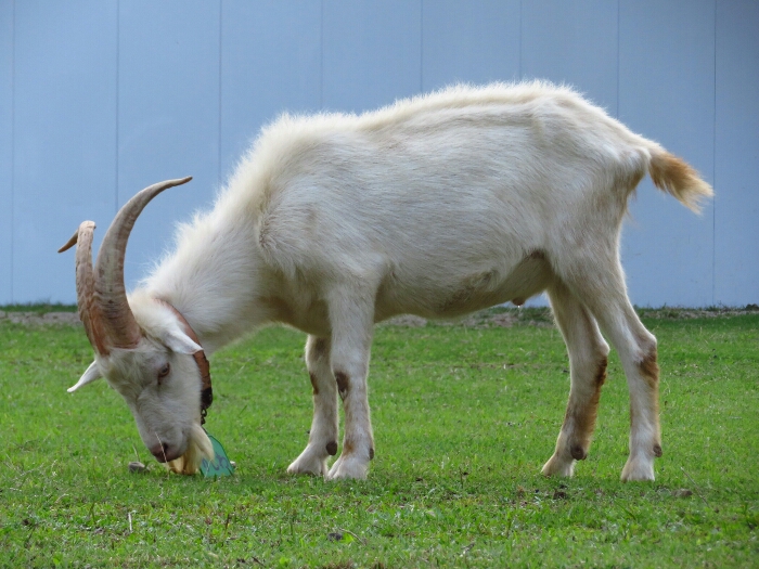 f:id:jerich:20180621003709j:plain