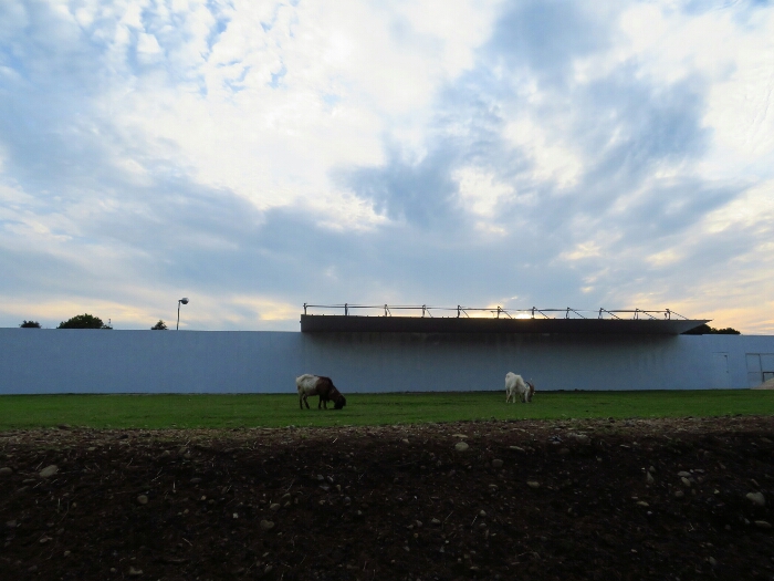 f:id:jerich:20180621003715j:plain