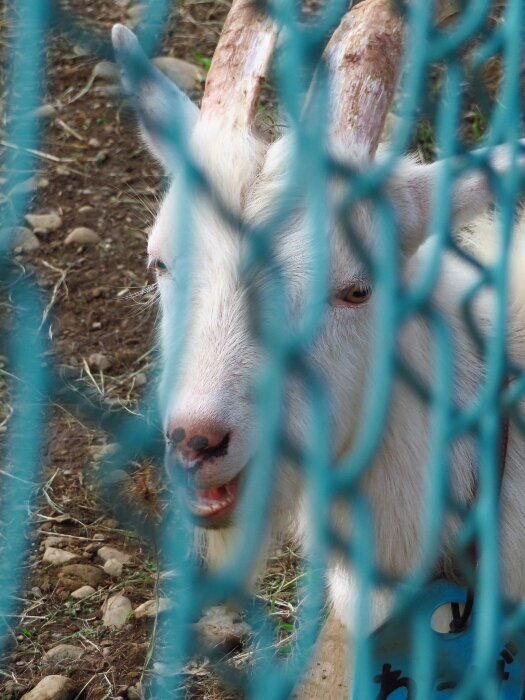 f:id:jerich:20180621003718j:plain