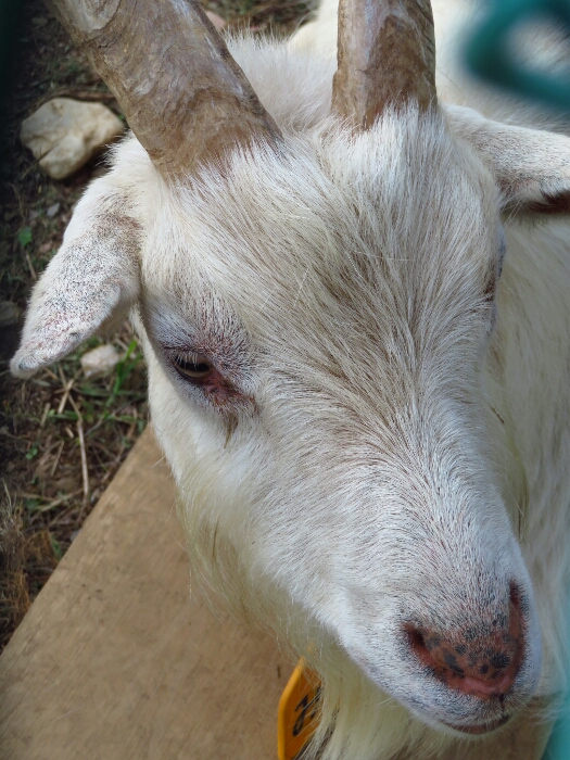 f:id:jerich:20180621004932j:plain