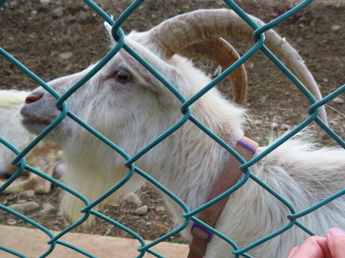 f:id:jerich:20180621004935j:plain