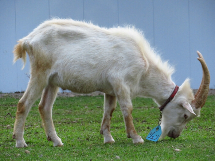 f:id:jerich:20180621004938j:plain