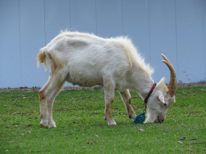 f:id:jerich:20180621004941j:plain