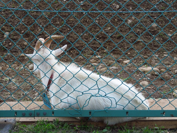 f:id:jerich:20180621004944j:plain