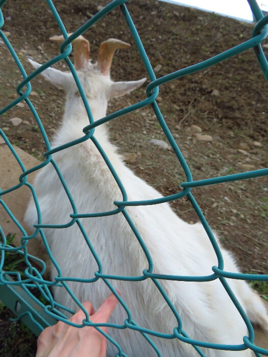 f:id:jerich:20180621005029j:plain