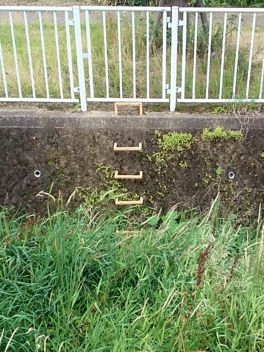 f:id:jerich:20180623004942j:plain