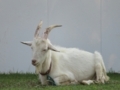 20180624002542