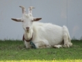 20180624002545