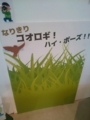 20180625024611