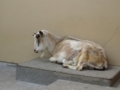 20180625235741