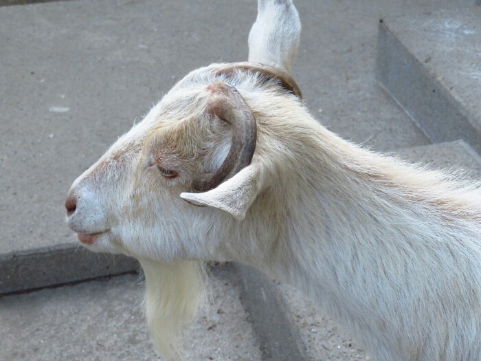 f:id:jerich:20180625235744j:plain