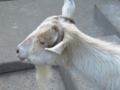 20180625235744