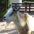 20180625235747