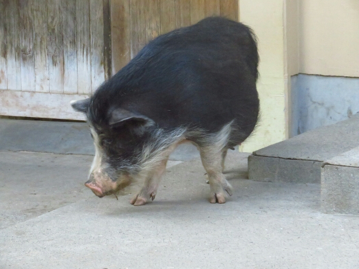 f:id:jerich:20180625235935j:plain