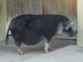 20180625235941
