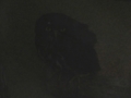 20180626002313