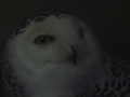 20180626004718