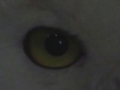 20180626004729