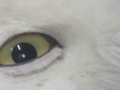 20180626005204