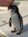 20180626012710