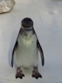 20180626012716