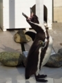 20180626013844