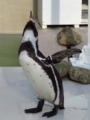 20180626013956