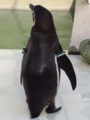 20180626013959