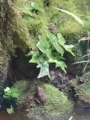 20180627014329