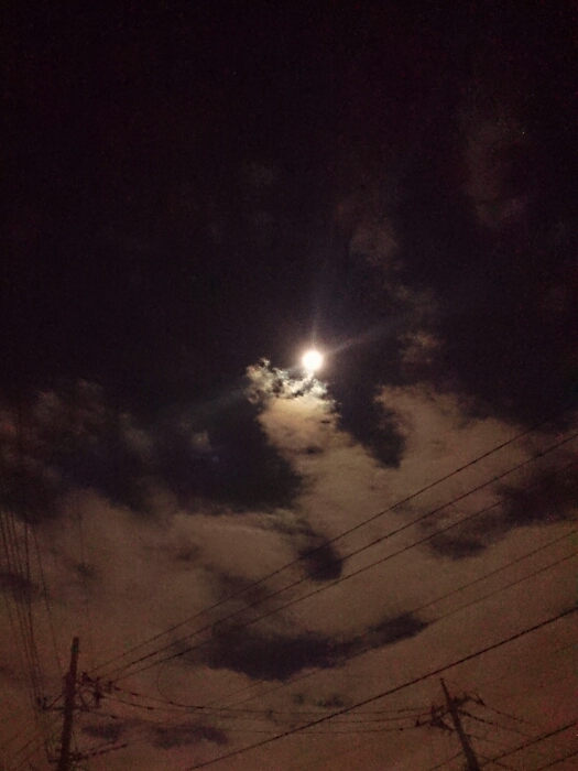 f:id:jerich:20180628002403j:plain