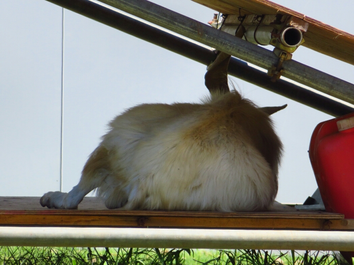 f:id:jerich:20180705000811j:plain