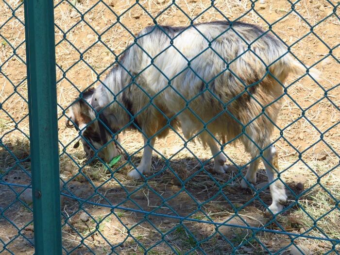 f:id:jerich:20180705001010j:plain