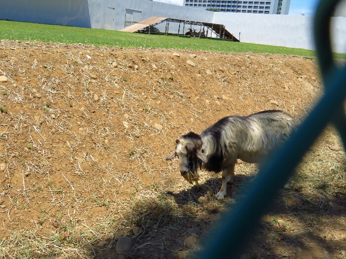 f:id:jerich:20180705001130j:plain