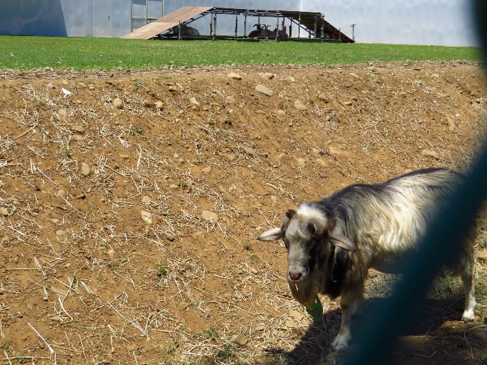 f:id:jerich:20180705001133j:plain