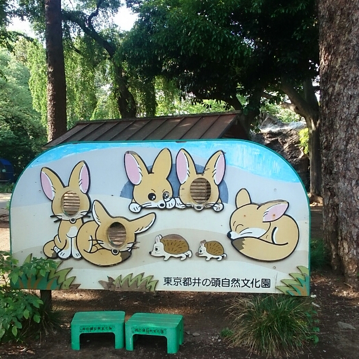 f:id:jerich:20180718021828j:plain