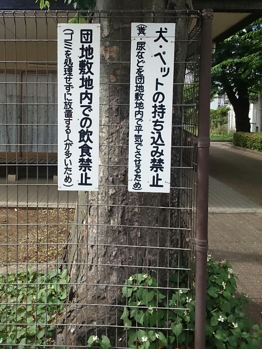 f:id:jerich:20180721020628j:plain f:id:jerich:20180721020628j:plain