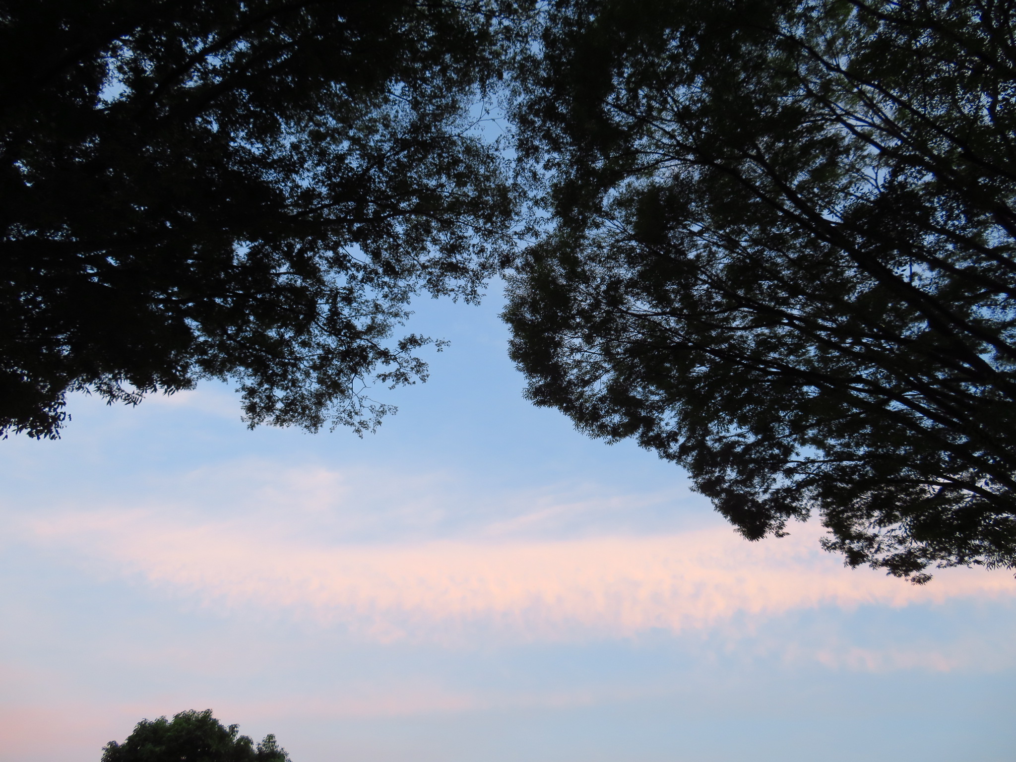 f:id:jerich:20180722225058j:image