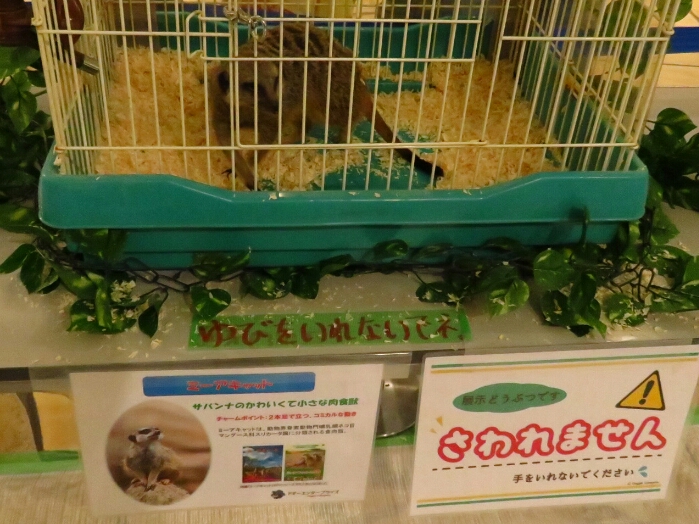 f:id:jerich:20180729012346j:plain f:id:jerich:20180729012346j:plain