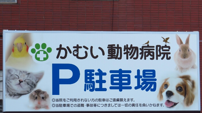 f:id:jerich:20180731214438j:plain f:id:jerich:20180731214438j:plain
