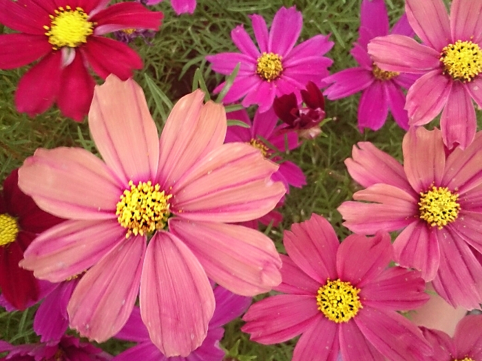 f:id:jerich:20180817003615j:plain f:id:jerich:20180817003615j:plain