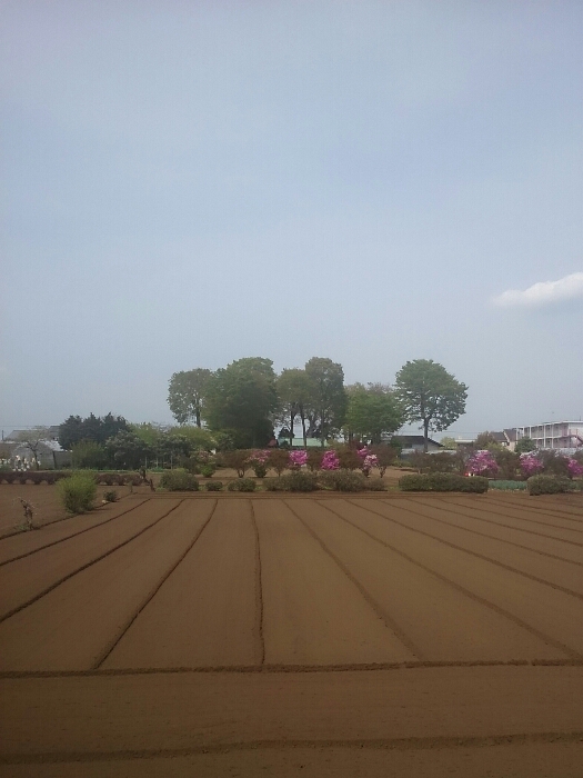 f:id:jerich:20180818020901j:plain