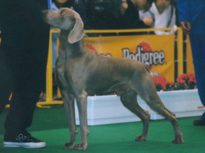 f:id:jerich:20180822031320j:plain